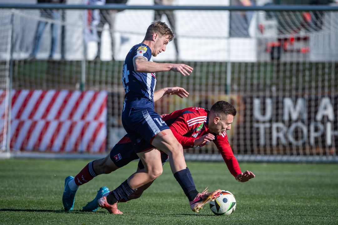 Nejc Gradisar