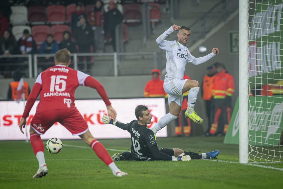 Holender Filip